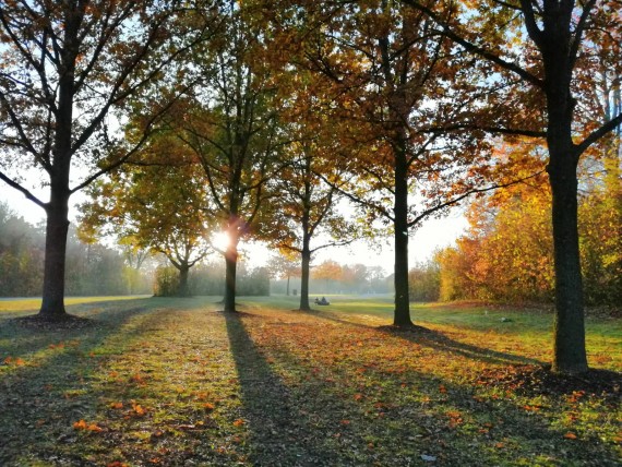 Naturfriedhof Lauingen im Friedhof Herrgottsruh