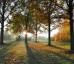 Naturfriedhof Lauingen im Friedhof Herrgottsruh